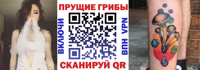 Галлюциногенные грибы мицелий  нарко площадка клад  Тулун 